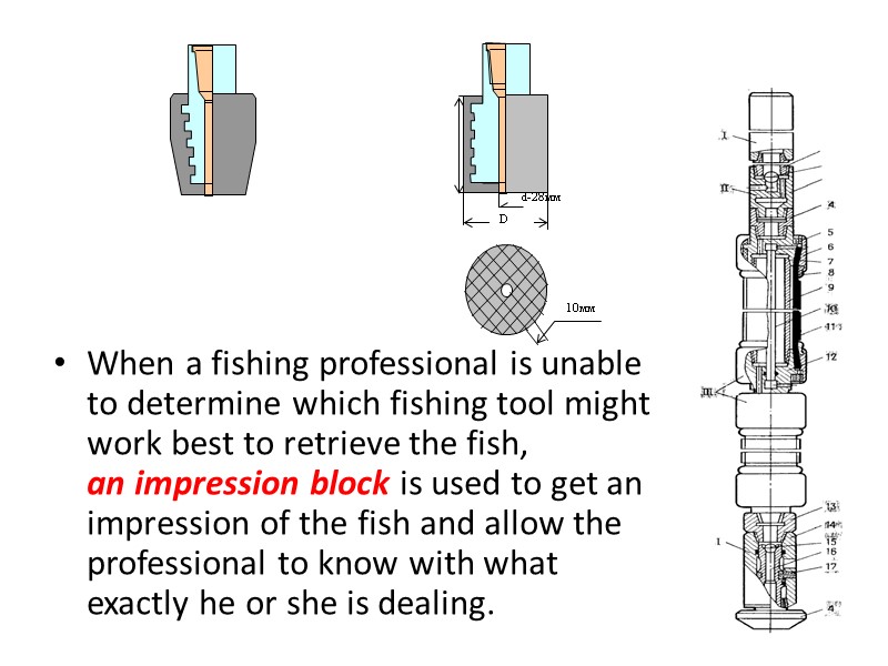 When a fishing professional is unable to determine which fishing tool might work best